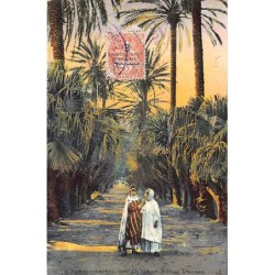 Rare collectable postcards of Algeria. Vintage Postcards of Algeria