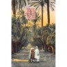 Rare collectable postcards of Algeria. Vintage Postcards of Algeria