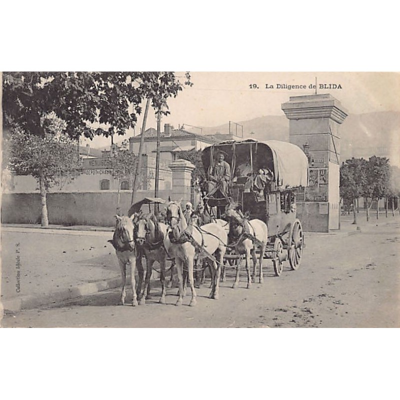 Rare collectable postcards of Algeria. Vintage Postcards of Algeria