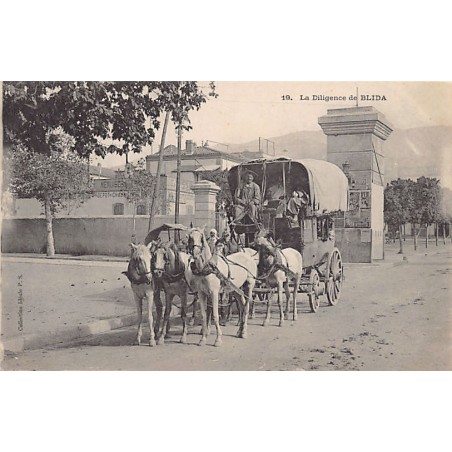 Rare collectable postcards of Algeria. Vintage Postcards of Algeria