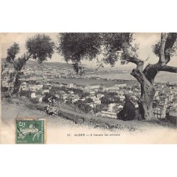 Rare collectable postcards of Algeria. Vintage Postcards of Algeria