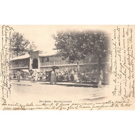 Rare collectable postcards of Algeria. Vintage Postcards of Algeria