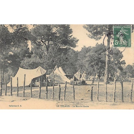 Rare collectable postcards of Algeria. Vintage Postcards of Algeria