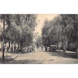 Rare collectable postcards of Algeria. Vintage Postcards of Algeria