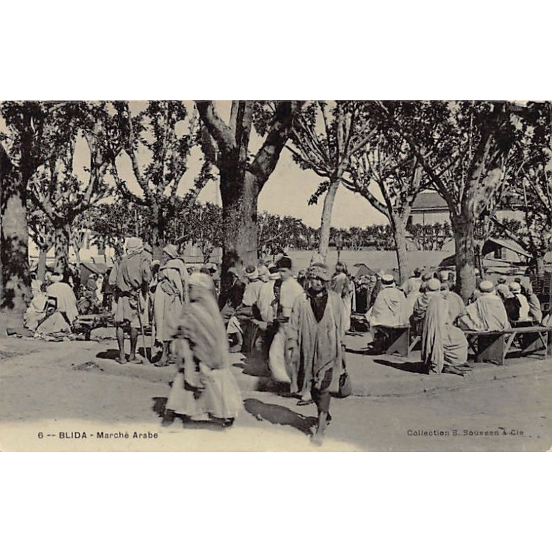 Rare collectable postcards of Algeria. Vintage Postcards of Algeria