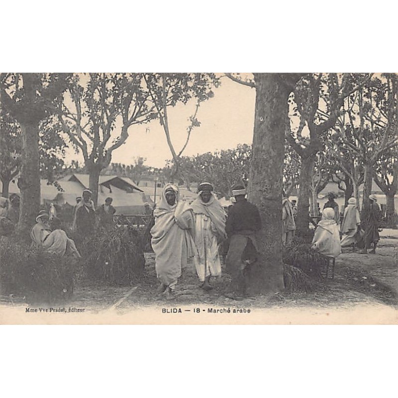 Rare collectable postcards of Algeria. Vintage Postcards of Algeria
