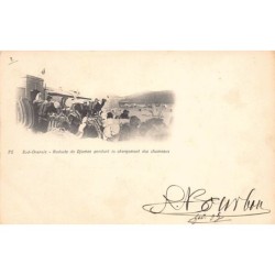 Rare collectable postcards of Algeria. Vintage Postcards of Algeria