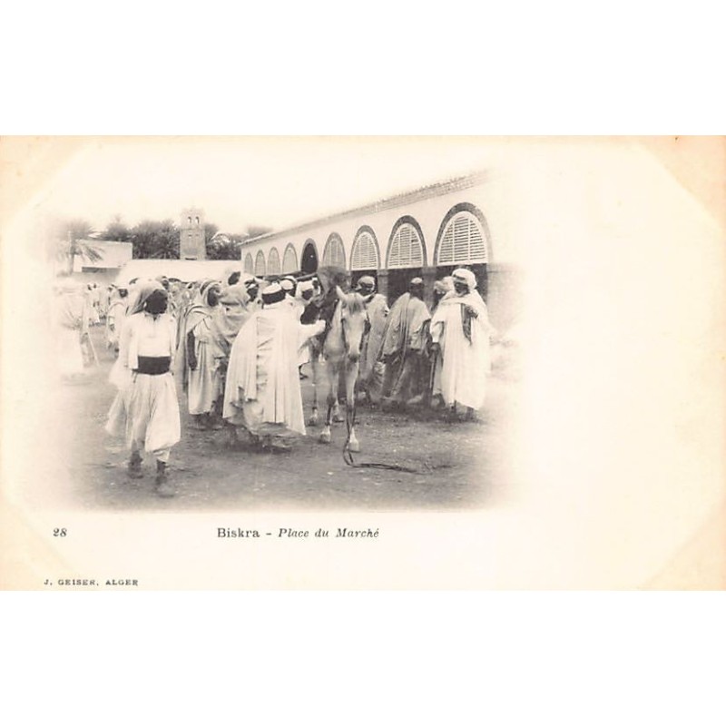 Rare collectable postcards of Algeria. Vintage Postcards of Algeria