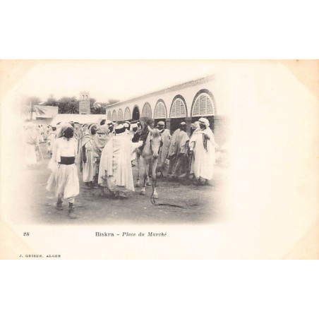 Rare collectable postcards of Algeria. Vintage Postcards of Algeria