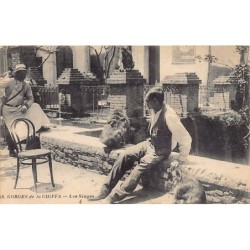 Rare collectable postcards of Algeria. Vintage Postcards of Algeria
