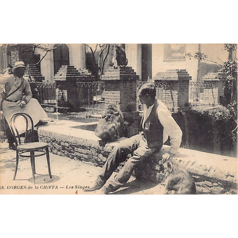 Rare collectable postcards of Algeria. Vintage Postcards of Algeria