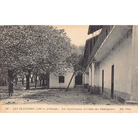 Rare collectable postcards of Algeria. Vintage Postcards of Algeria