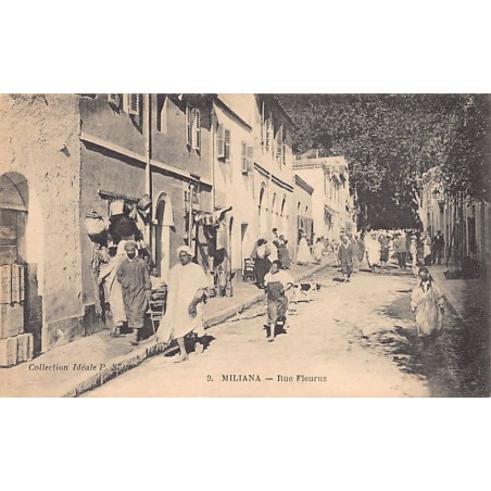 Rare collectable postcards of Algeria. Vintage Postcards of Algeria