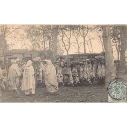 Rare collectable postcards of Algeria. Vintage Postcards of Algeria
