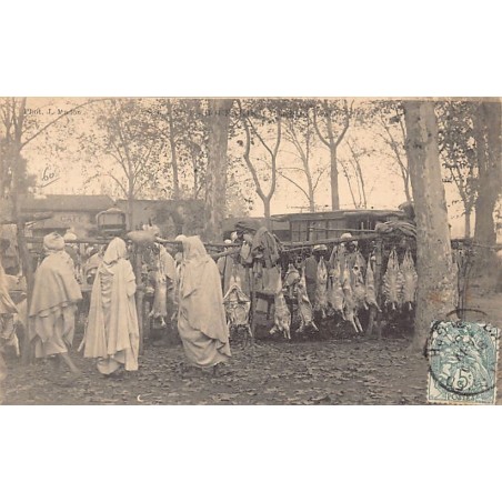 Rare collectable postcards of Algeria. Vintage Postcards of Algeria