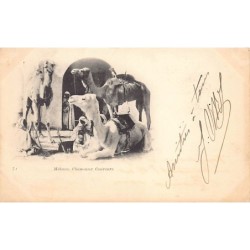 Rare collectable postcards of Algeria. Vintage Postcards of Algeria