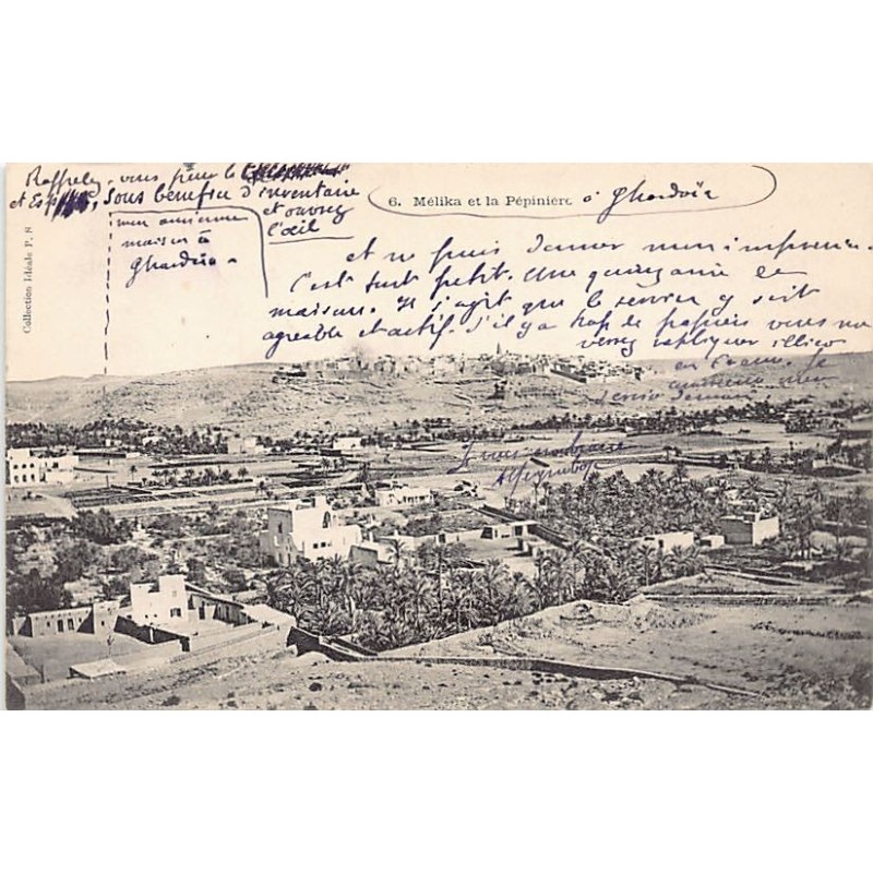 Rare collectable postcards of Algeria. Vintage Postcards of Algeria