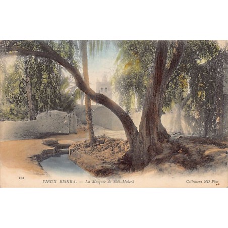 Rare collectable postcards of Algeria. Vintage Postcards of Algeria