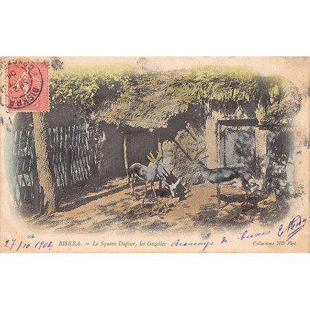 Rare collectable postcards of Algeria. Vintage Postcards of Algeria