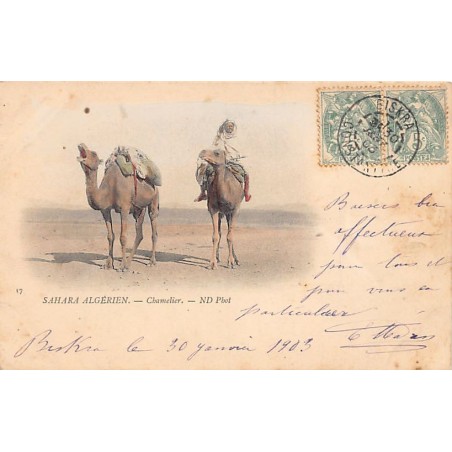 Rare collectable postcards of Algeria. Vintage Postcards of Algeria