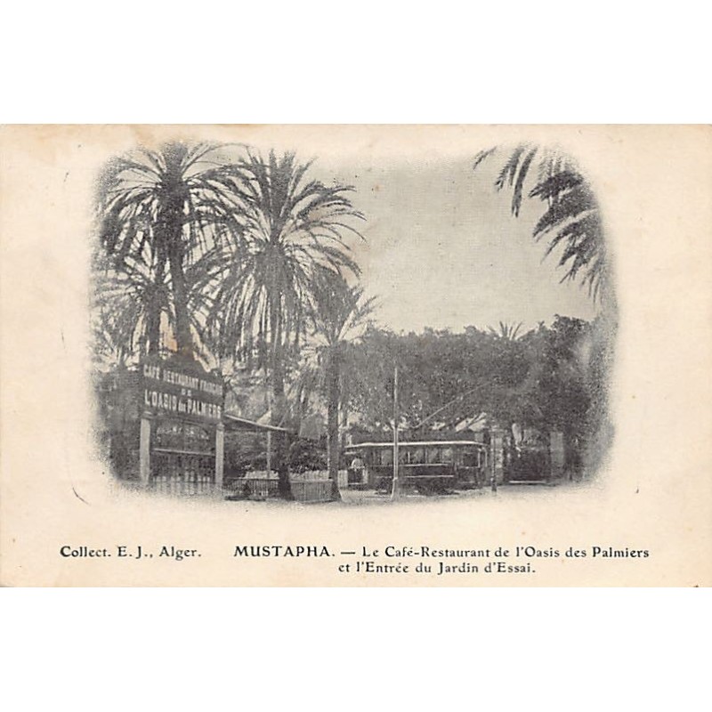 Rare collectable postcards of Algeria. Vintage Postcards of Algeria