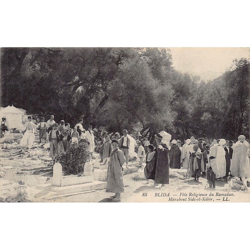 Rare collectable postcards of Algeria. Vintage Postcards of Algeria