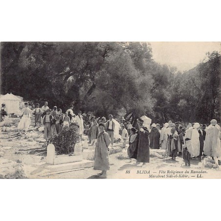 Rare collectable postcards of Algeria. Vintage Postcards of Algeria