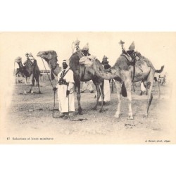 Rare collectable postcards of Algeria. Vintage Postcards of Algeria