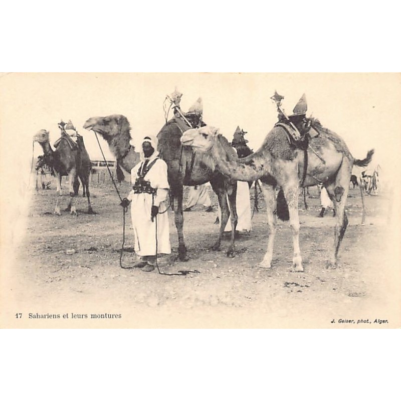 Rare collectable postcards of Algeria. Vintage Postcards of Algeria