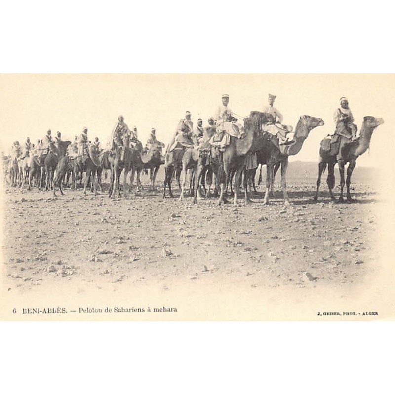 Rare collectable postcards of Algeria. Vintage Postcards of Algeria