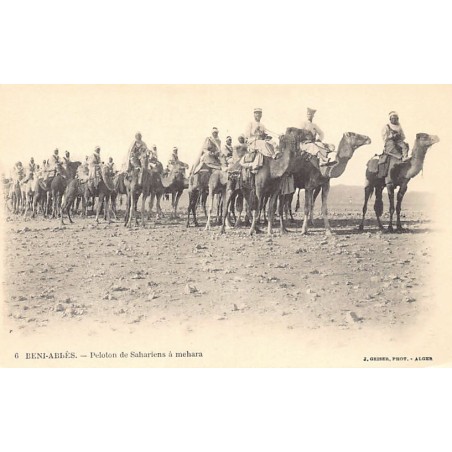 Rare collectable postcards of Algeria. Vintage Postcards of Algeria
