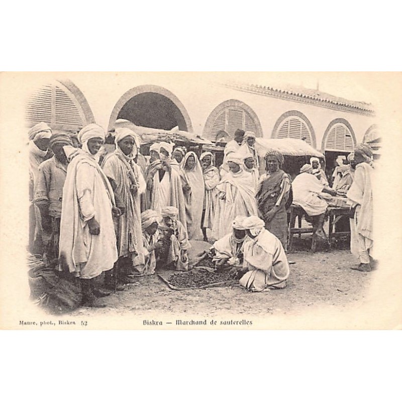 Rare collectable postcards of Algeria. Vintage Postcards of Algeria