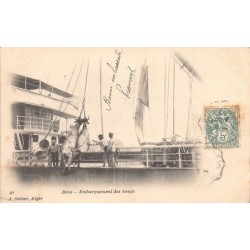 Rare collectable postcards of Algeria. Vintage Postcards of Algeria