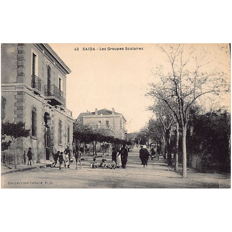 Rare collectable postcards of Algeria. Vintage Postcards of Algeria