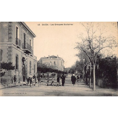 Rare collectable postcards of Algeria. Vintage Postcards of Algeria