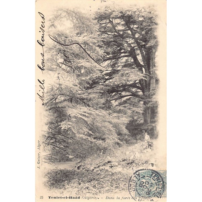 Rare collectable postcards of Algeria. Vintage Postcards of Algeria