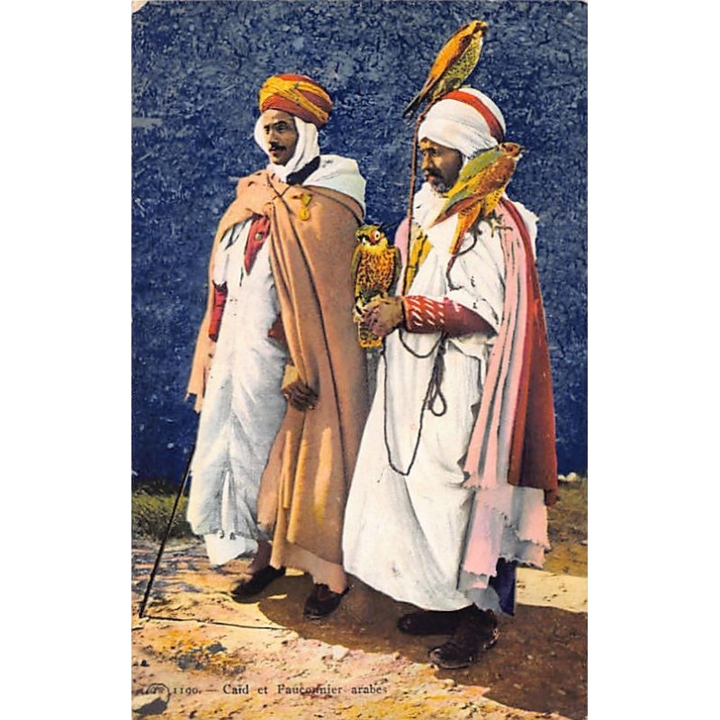 Rare collectable postcards of Algeria. Vintage Postcards of Algeria