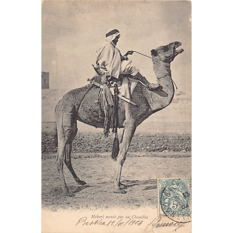 Rare collectable postcards of Algeria. Vintage Postcards of Algeria