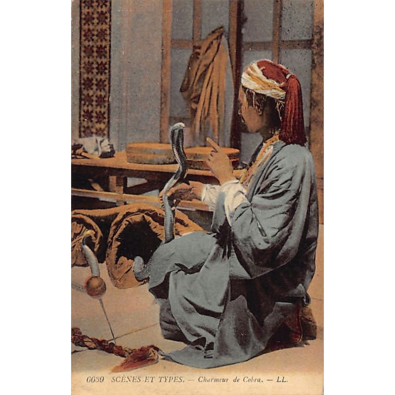 Rare collectable postcards of Algeria. Vintage Postcards of Algeria