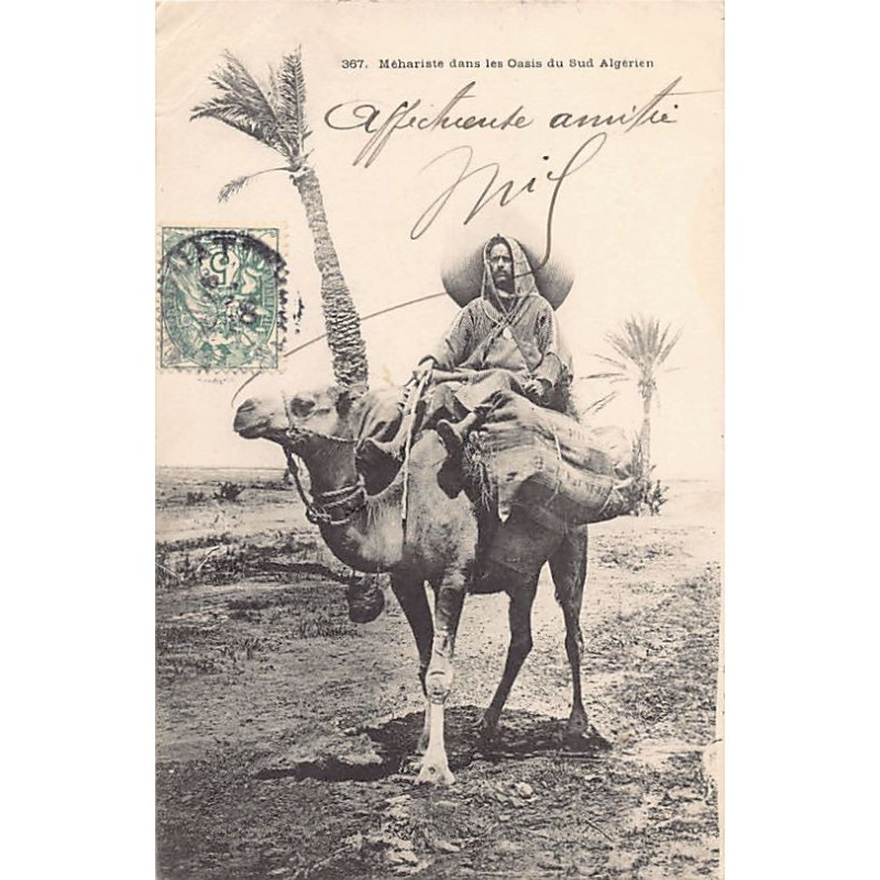 Rare collectable postcards of Algeria. Vintage Postcards of Algeria