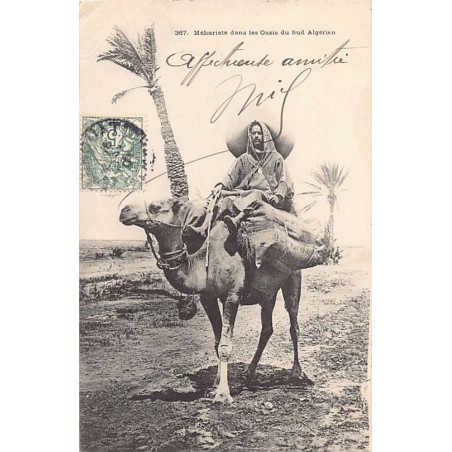Rare collectable postcards of Algeria. Vintage Postcards of Algeria