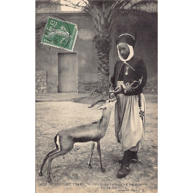 Rare collectable postcards of Algeria. Vintage Postcards of Algeria
