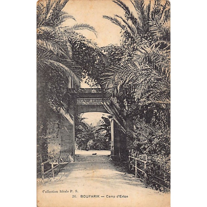 Rare collectable postcards of Algeria. Vintage Postcards of Algeria