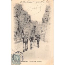 Rare collectable postcards of Algeria. Vintage Postcards of Algeria