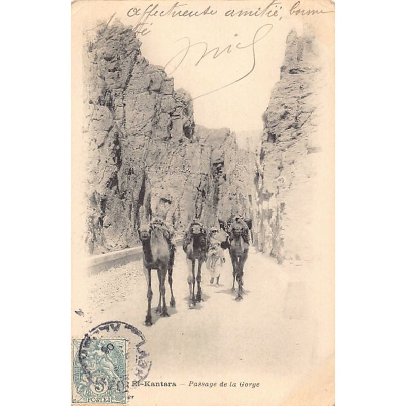 Rare collectable postcards of Algeria. Vintage Postcards of Algeria