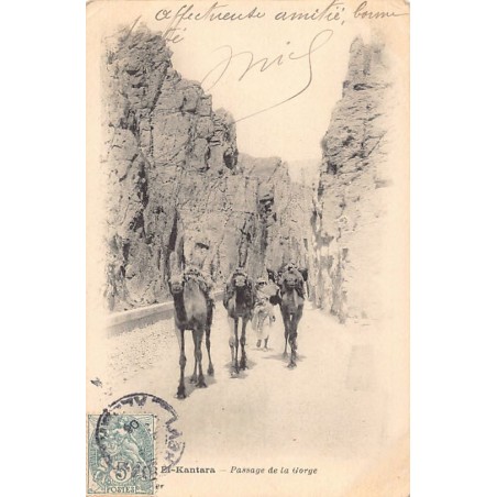 Rare collectable postcards of Algeria. Vintage Postcards of Algeria