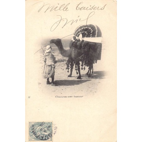 Rare collectable postcards of Algeria. Vintage Postcards of Algeria