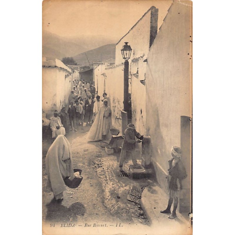Rare collectable postcards of Algeria. Vintage Postcards of Algeria