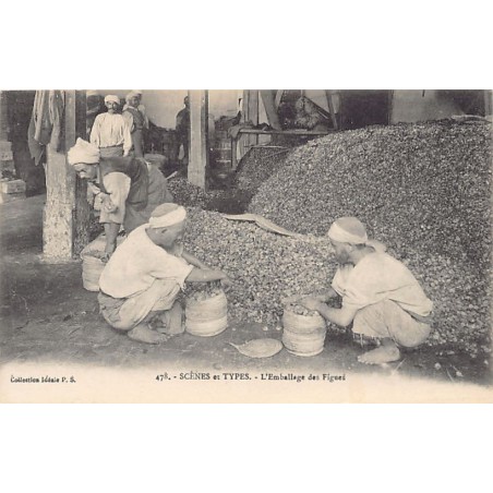 Rare collectable postcards of Algeria. Vintage Postcards of Algeria