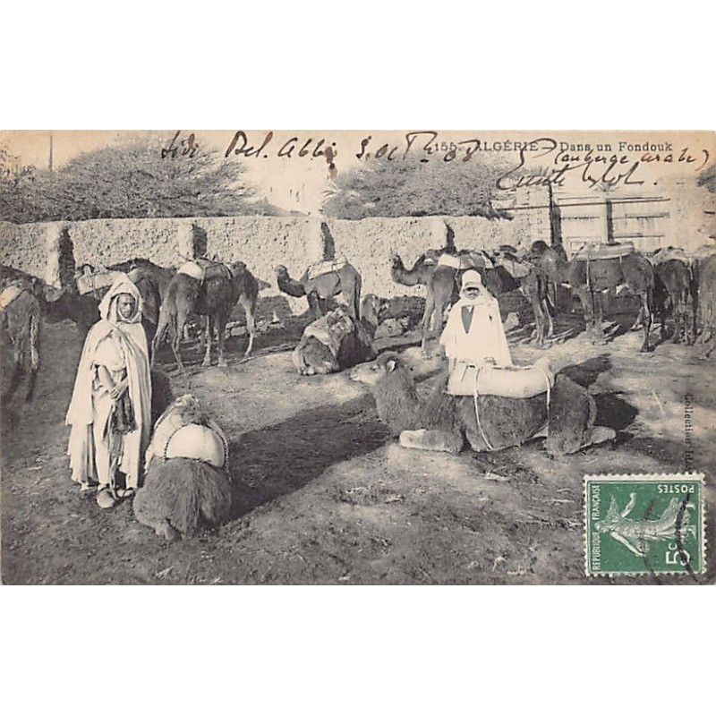 Rare collectable postcards of Algeria. Vintage Postcards of Algeria